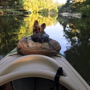 Meet your Posher, Sally